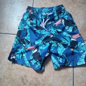 Sporto Blue and Pink Swim Shorts